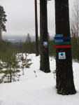 Snowshoe hiking | Hagfors/Ekshärad | Värmland | Sweden